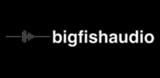 Big Fish Audio